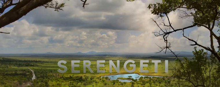 BBC Earth „Serengeti”