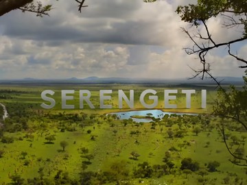 BBC Earth „Serengeti”