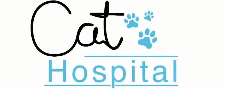Nat Geo People „Szpital dla kotów”