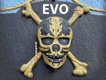 EVO piractwo czaszka piracy 360px