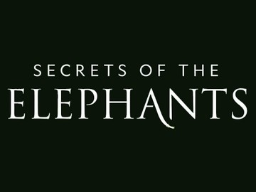 National Geographic Wild „Sekretne życie słoni”