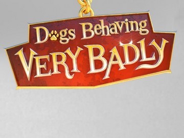CBS Reality „Psie nawyki do poprawki”