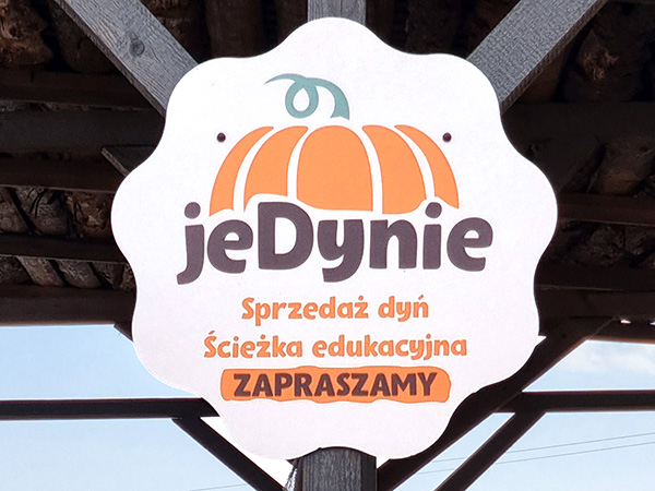 Farma dyniowa JEdynie w Wawrzeńczycach