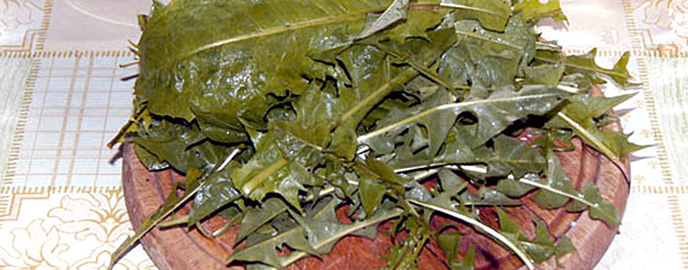 Sałatka z liści mniszka satkurier 760px