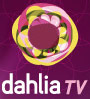 Dahlia TV w obliczu kryzysu finansowego