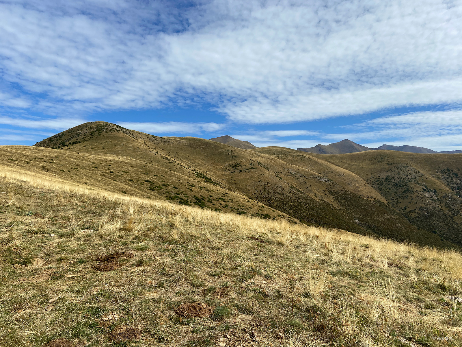 La Calbera d'Irgo, El Corronco, El Tuc, Cap dels Vedats d'Erta, Pica de Cervi