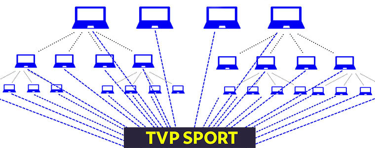 Atak DDoS na serwery TVP podczas meczu Polska - Holandia