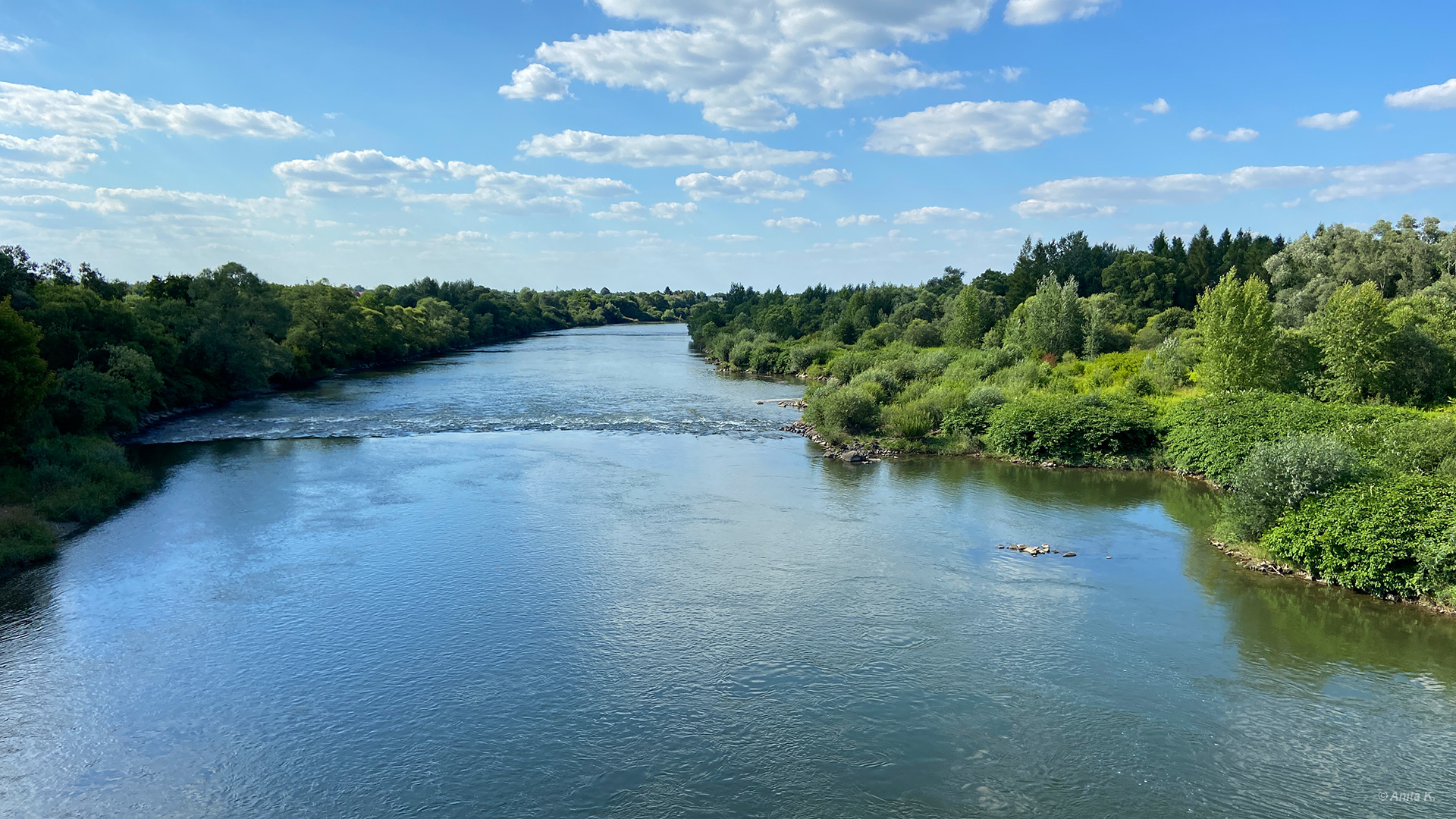 Dunajec w okolicach Tarnowa