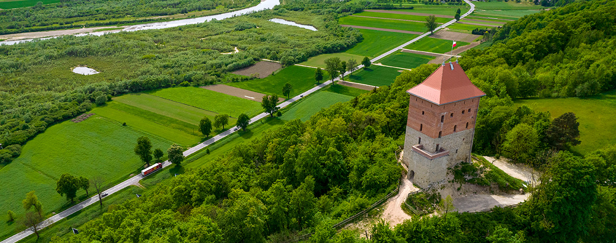 Zamek Melsztyn