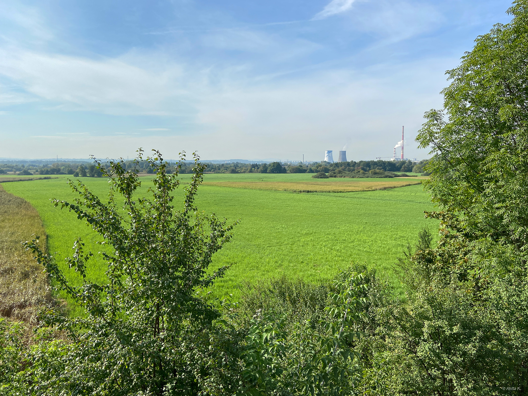 Widok ze skarpy na Łąki Nowohuckie