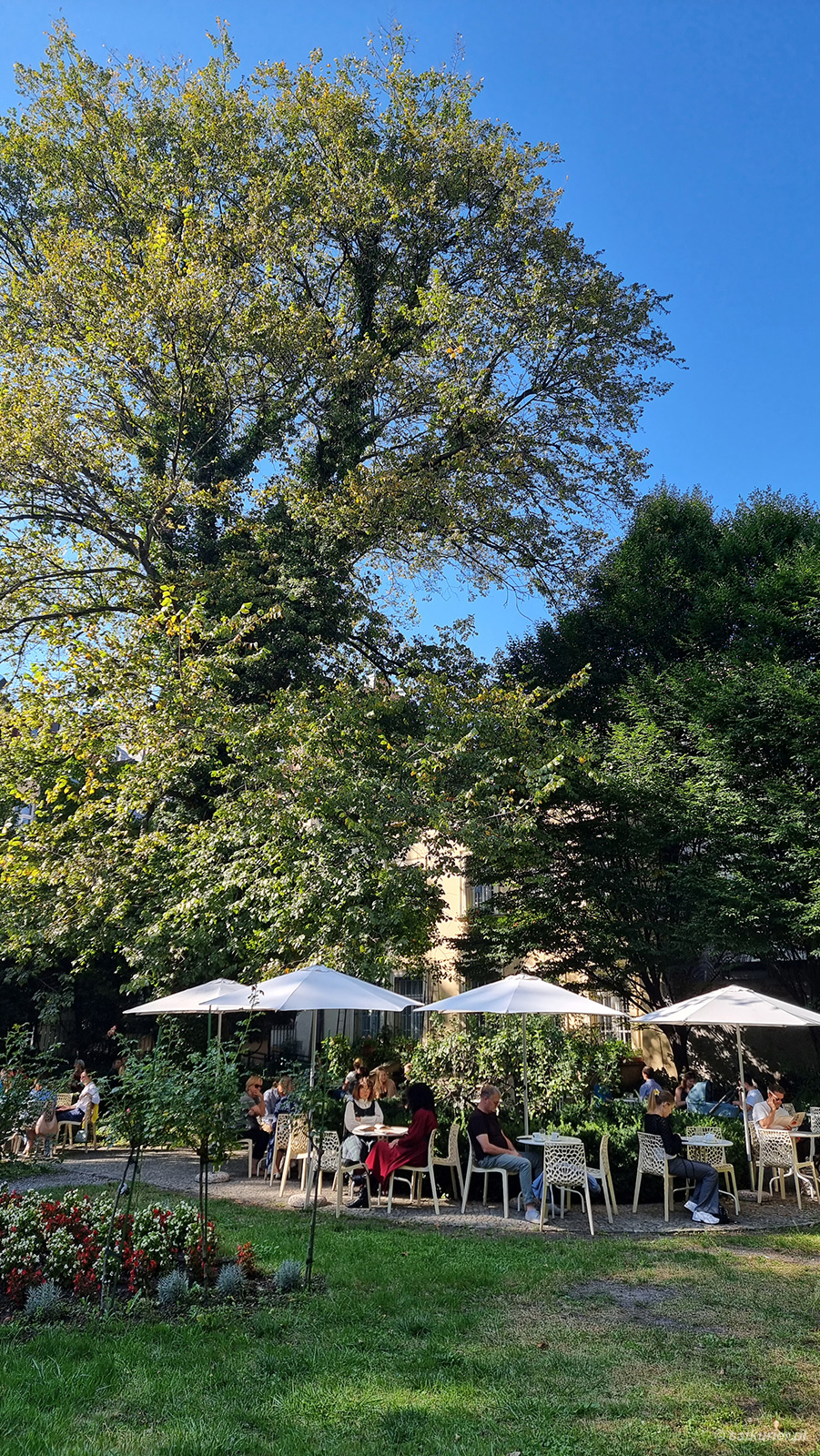 Ogród Mehoffera z Cafe Meho i dębem szypułkowym 