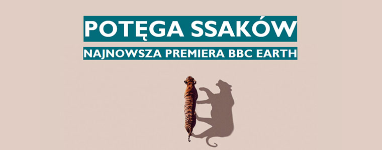 Potęga ssaków premiera serialu BBC Earth 760px