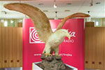 Kuba Strzyczkowski: Licytacja orła z białej czekolady