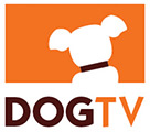 DOGTV: Od 1.08 pierwsza telewizja dla psów [wideo]