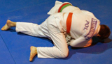 Uroczyste zakończenie sezonu judo 2013/2014