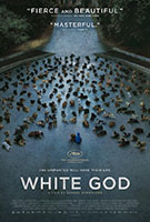 „Biały Bóg” w DKF Maciste