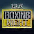Ełk Boxing Night