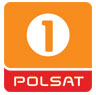 Dotychczasowe logo kanału Polsat 1, foto: archiwum