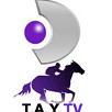 T.A.Y. TV idzie do HD. Koniec odbioru w Europie