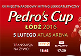 Pedro_Cup_2016_160px.jpg