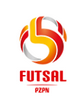 futsal reprezentacja Polski PZPN Polski Związek Piłki Nożnej