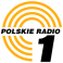 Polskie Radio z Arabsata 3A