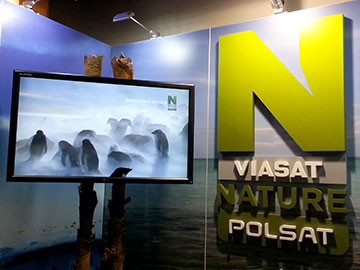 Otwarte okno Polsat Viasat Nature i Comedy Central HD w nc+
