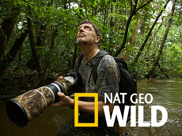 Arcytrudna misja: ocalić orangutany Nat Geo Wild