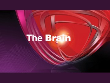 Polsat „The Brain - genialny umysł”