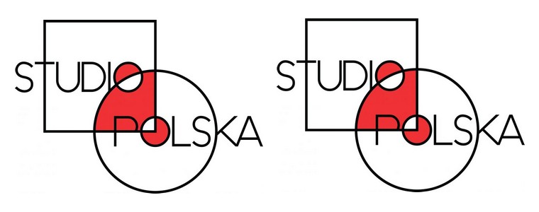 TVP Info „Studio Polska”