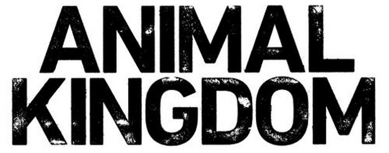 TNT „Królestwo zwierząt”