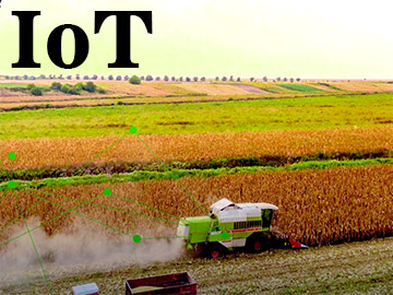 IoT odegra wiodącą rolę w ochronie rolników