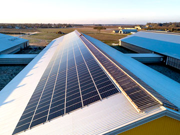 Instalacja słoneczna na największej farmie mleczarskiej 