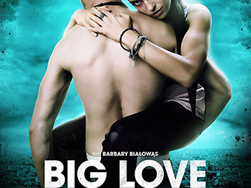 Big Love (film)