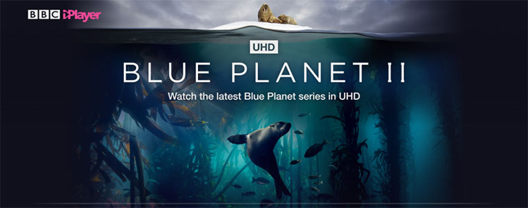 BBC iPlayer UHD Blue Planet