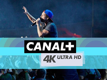 Muzyczne lato w Canal+ 4K Ultra HD