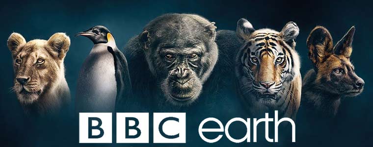 Dynastie BBC Earth 
