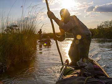 Delta rzeki Okawango Nat Geo Wild