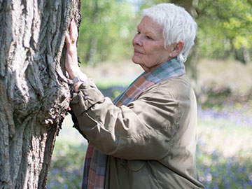 BBC Earth  Judi Dench: moja miłość do drzew