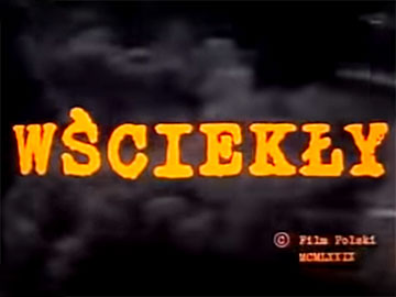 Wsciekly-polski-film-360px.jpg