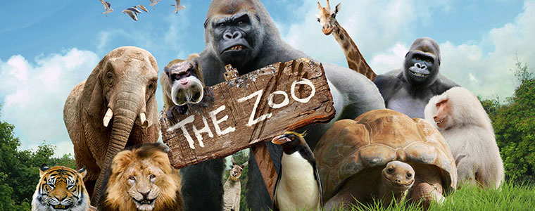 Premiera „Zoo” Boomerangu