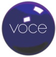 Od 20.12 w SKY Italia: Voce, Boomerang+1