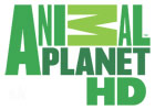 Tytanowe Oko dla Animal Planet HD