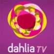 Dahlia TV z wycofuje się z Hiszpanii 