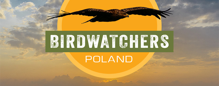 Birdwatchers Poland