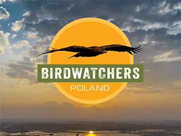 Birdwatchers Poland