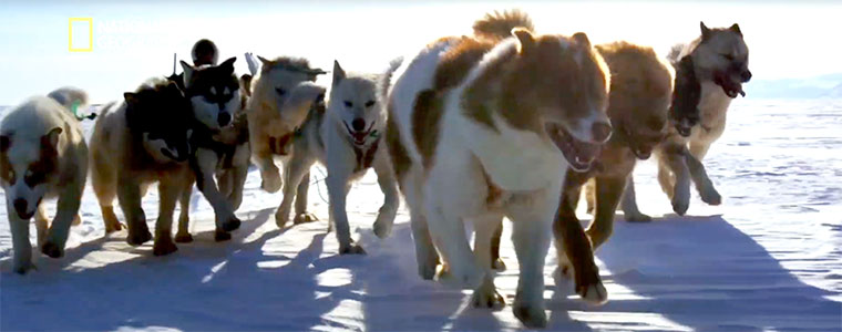 Na ratunek Arktyce Arktyka National Geographic dokument 760px.jpg