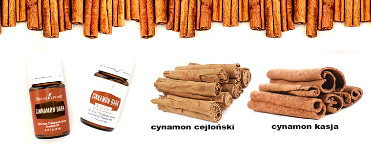Cynamon cejlon Kasja cinnamon bark YL 760px.jpg