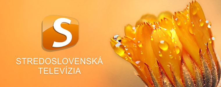 Stredoslovenska TV SSTV slowacki kanał słowacja 760px.jpg