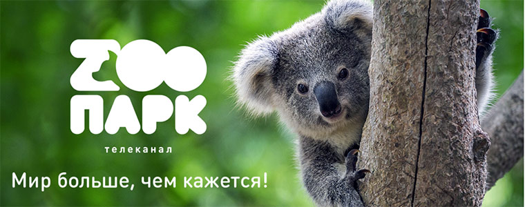 Zoopark logo kanał rosyjski Strim 760px.jpg